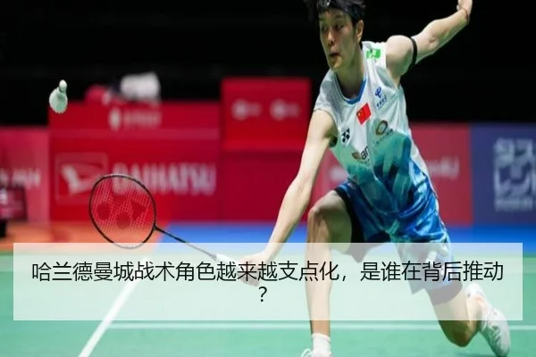 ha-lan-de-man-cheng-zhan-shu-jue-se-yue-lai-yue-zhi-dian-hua-shi-shui-zai-bei-hou-tui-dong-3-237.jpg